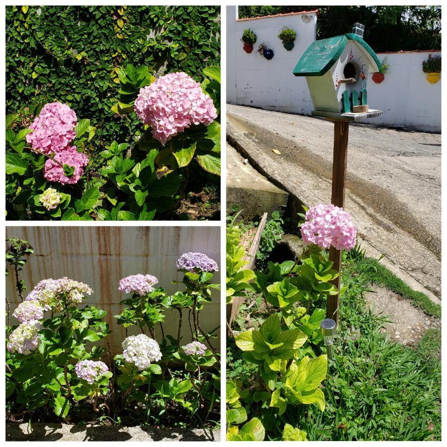Pousada Das Hortensias Conservatória Extérieur photo